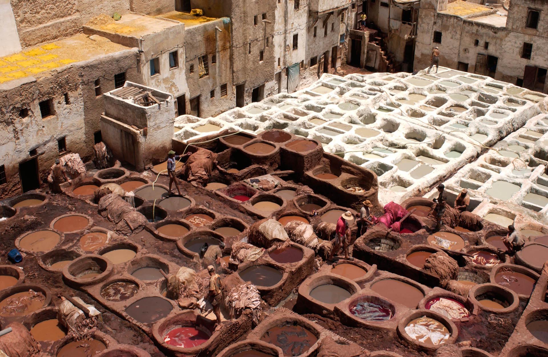 FEZ